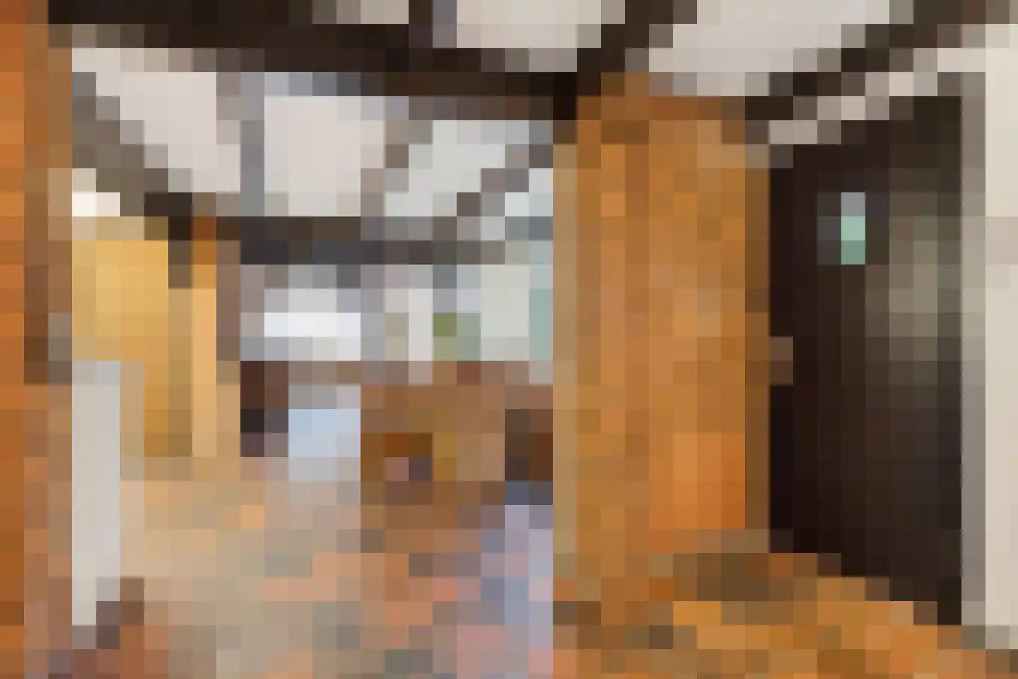 IJsselstraat 93 Velp thumbnail 17
