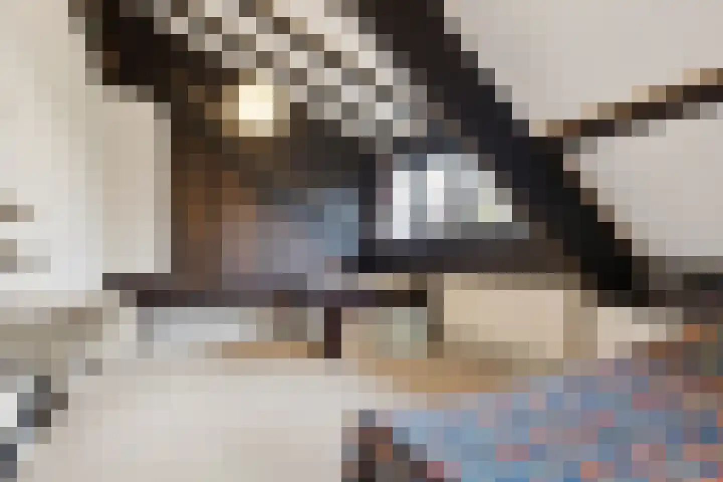 IJsselstraat 93 Velp thumbnail 29