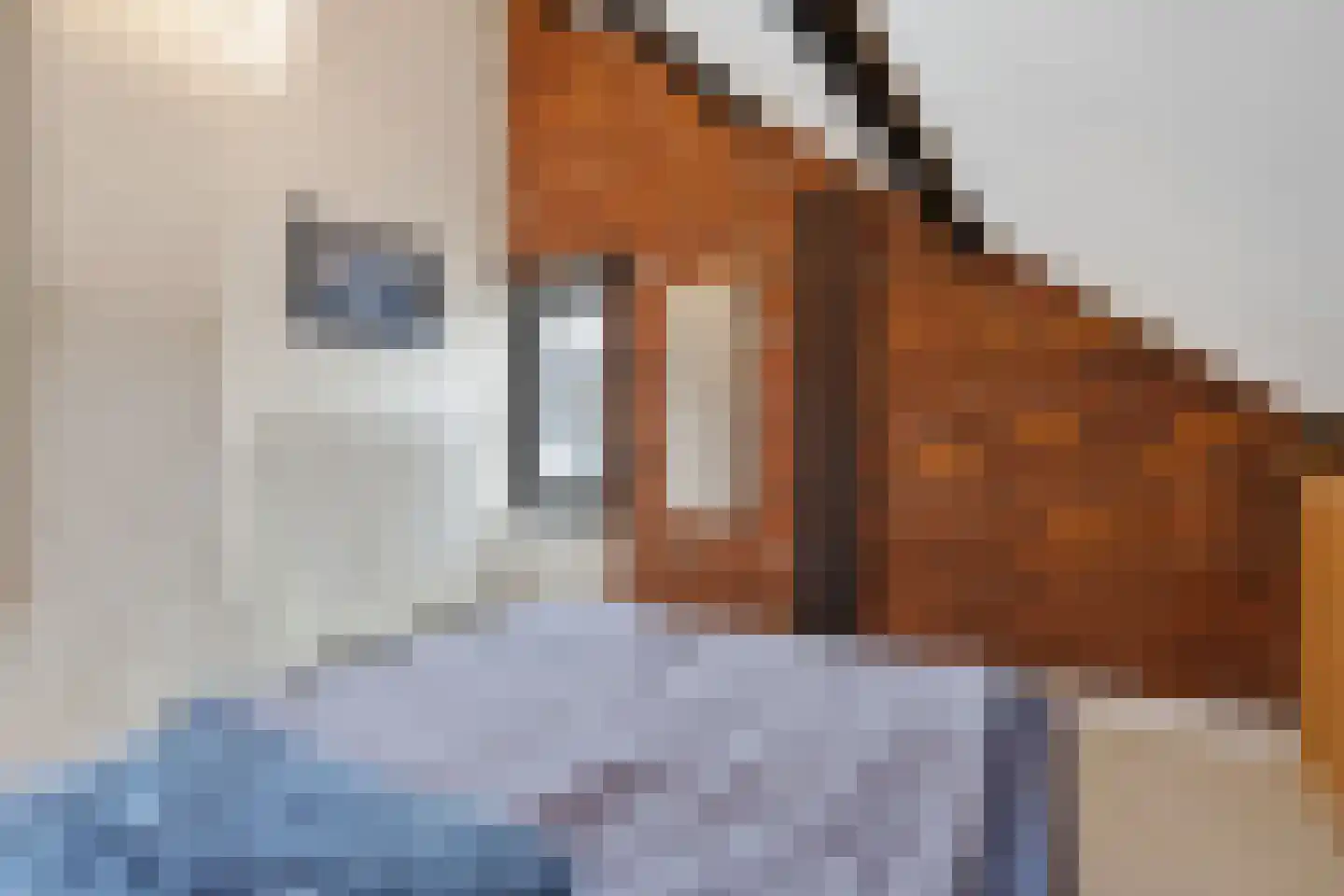 IJsselstraat 93 Velp thumbnail 31