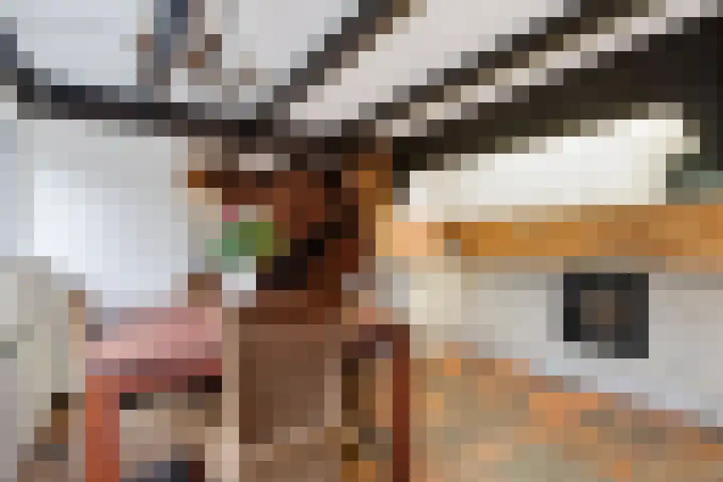 IJsselstraat 93 Velp thumbnail 4