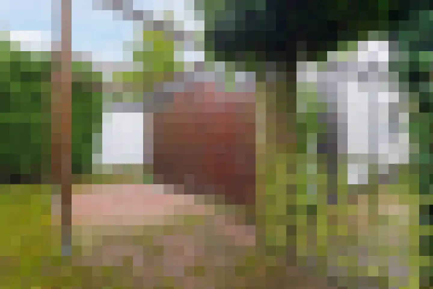 IJsselstraat 93 Velp thumbnail 45