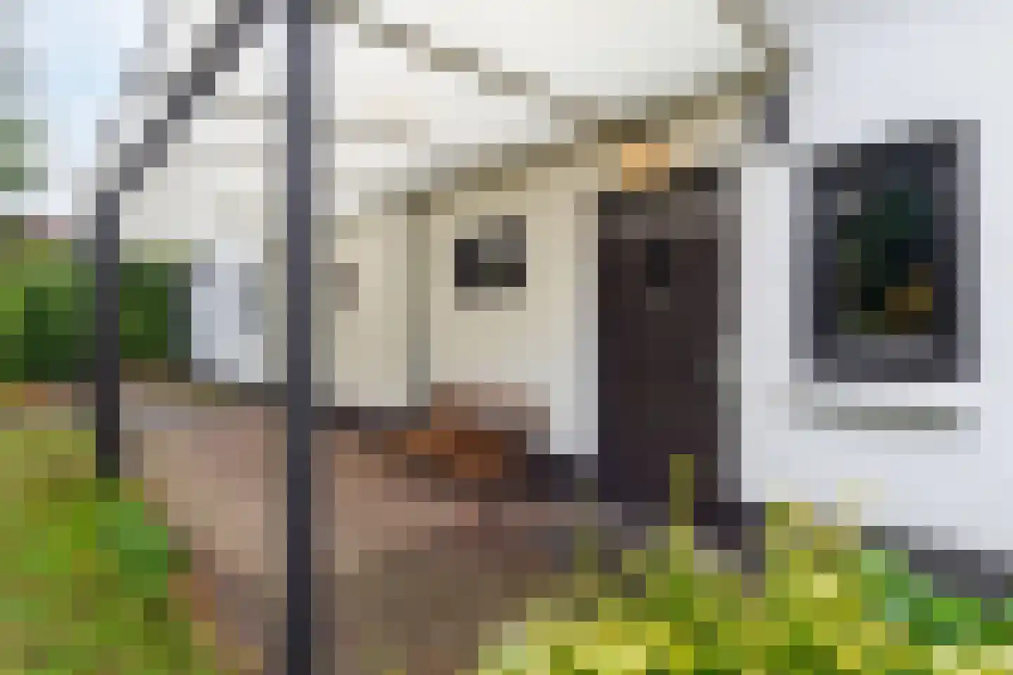 IJsselstraat 93 Velp thumbnail 8