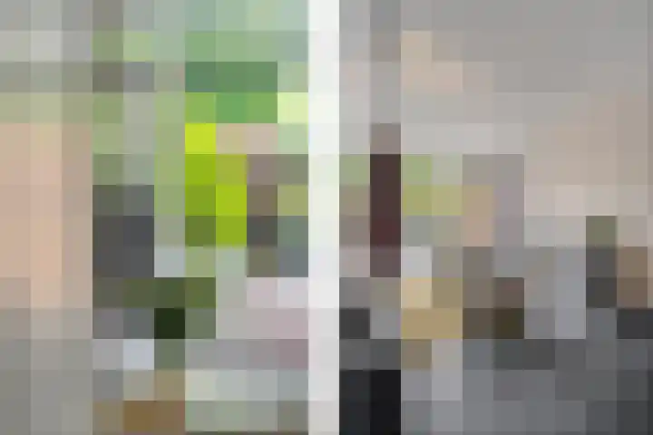 IJsselstroom 1 Zoetermeer thumbnail 13