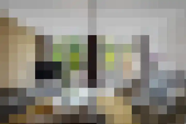 IJsselstroom 1 Zoetermeer thumbnail 14
