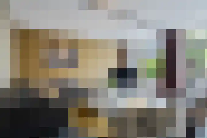 IJsselstroom 1 Zoetermeer thumbnail 15