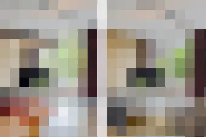 IJsselstroom 1 Zoetermeer thumbnail 16