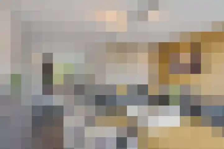 IJsselstroom 1 Zoetermeer thumbnail 23