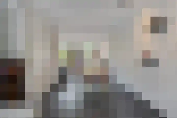 IJsselstroom 1 Zoetermeer thumbnail 26