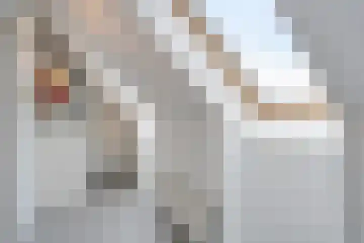 IJsselstroom 1 Zoetermeer thumbnail 63