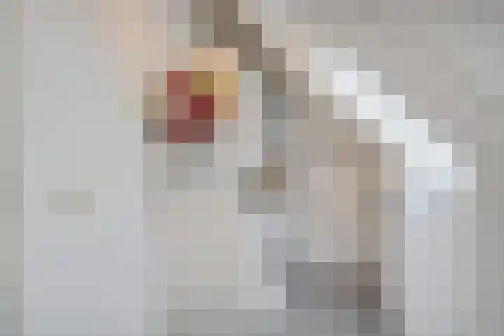 IJsselstroom 1 Zoetermeer thumbnail 64