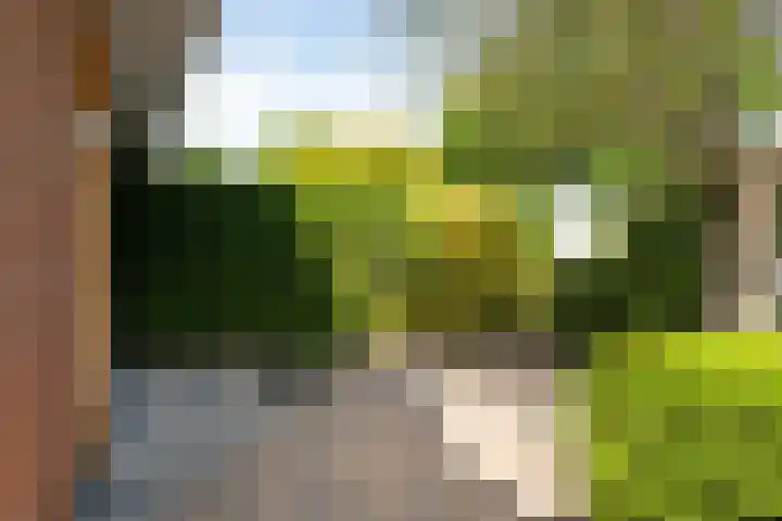 IJsselstroom 1 Zoetermeer thumbnail 8