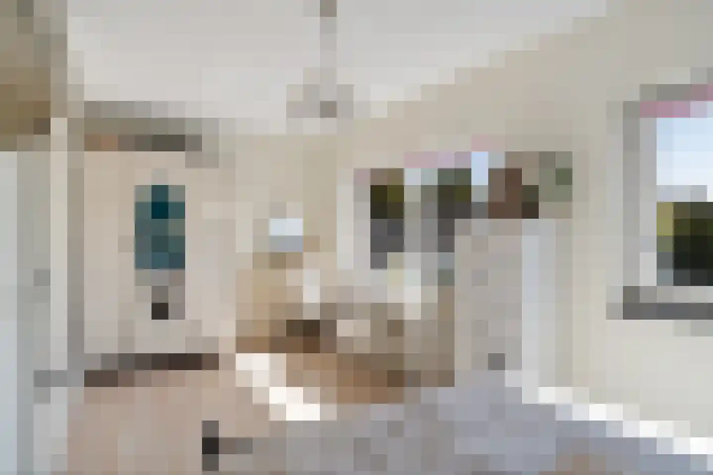 IJsselstroom 21 Zoetermeer thumbnail 33