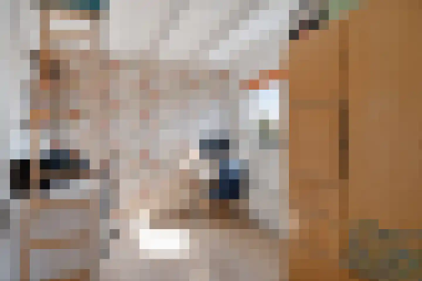 IJsselstroom 21 Zoetermeer thumbnail 38