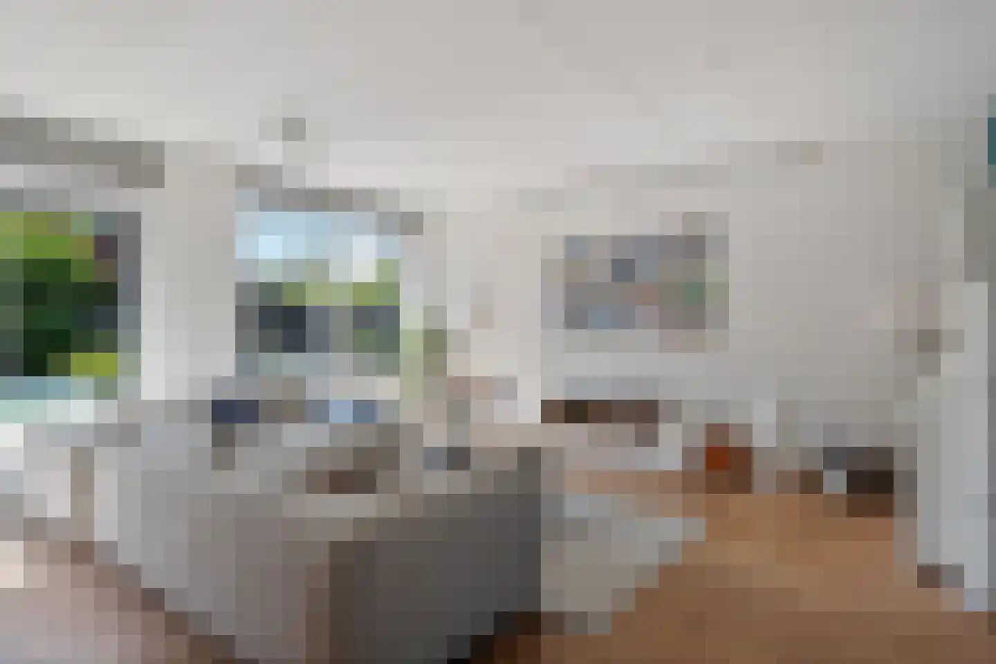 IJsselstroom 21 Zoetermeer thumbnail 8