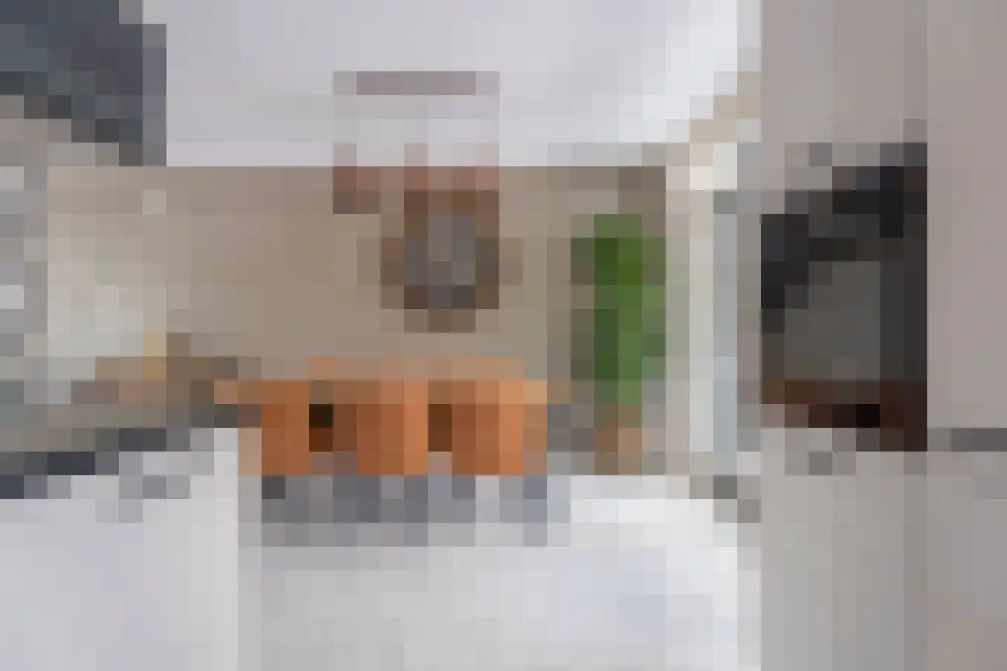IJsselstroom 43 Zoetermeer thumbnail 10