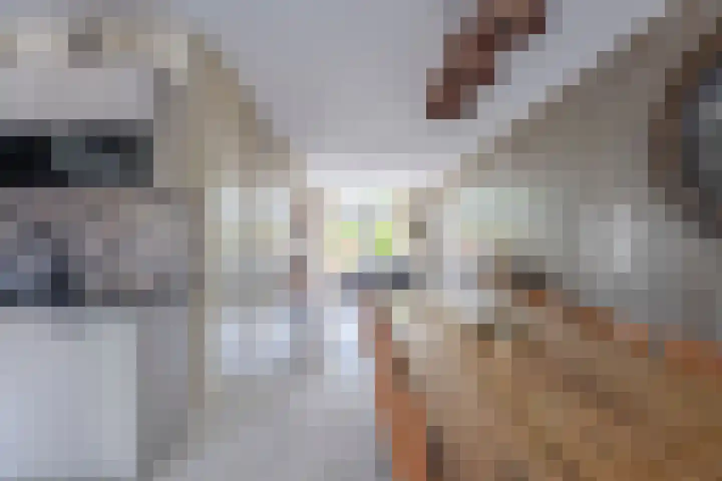 IJsselstroom 43 Zoetermeer thumbnail 11