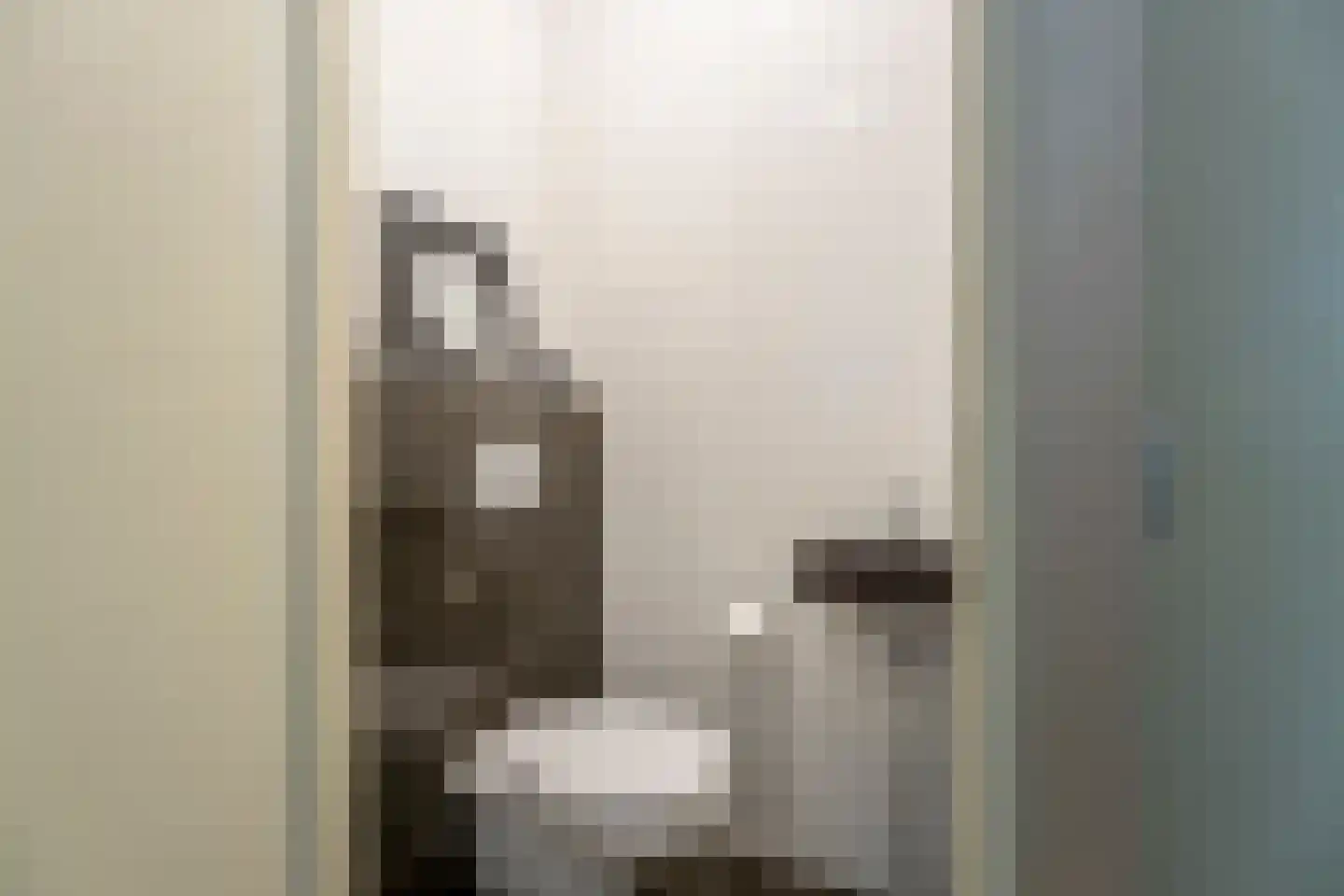 IJsselstroom 43 Zoetermeer thumbnail 13