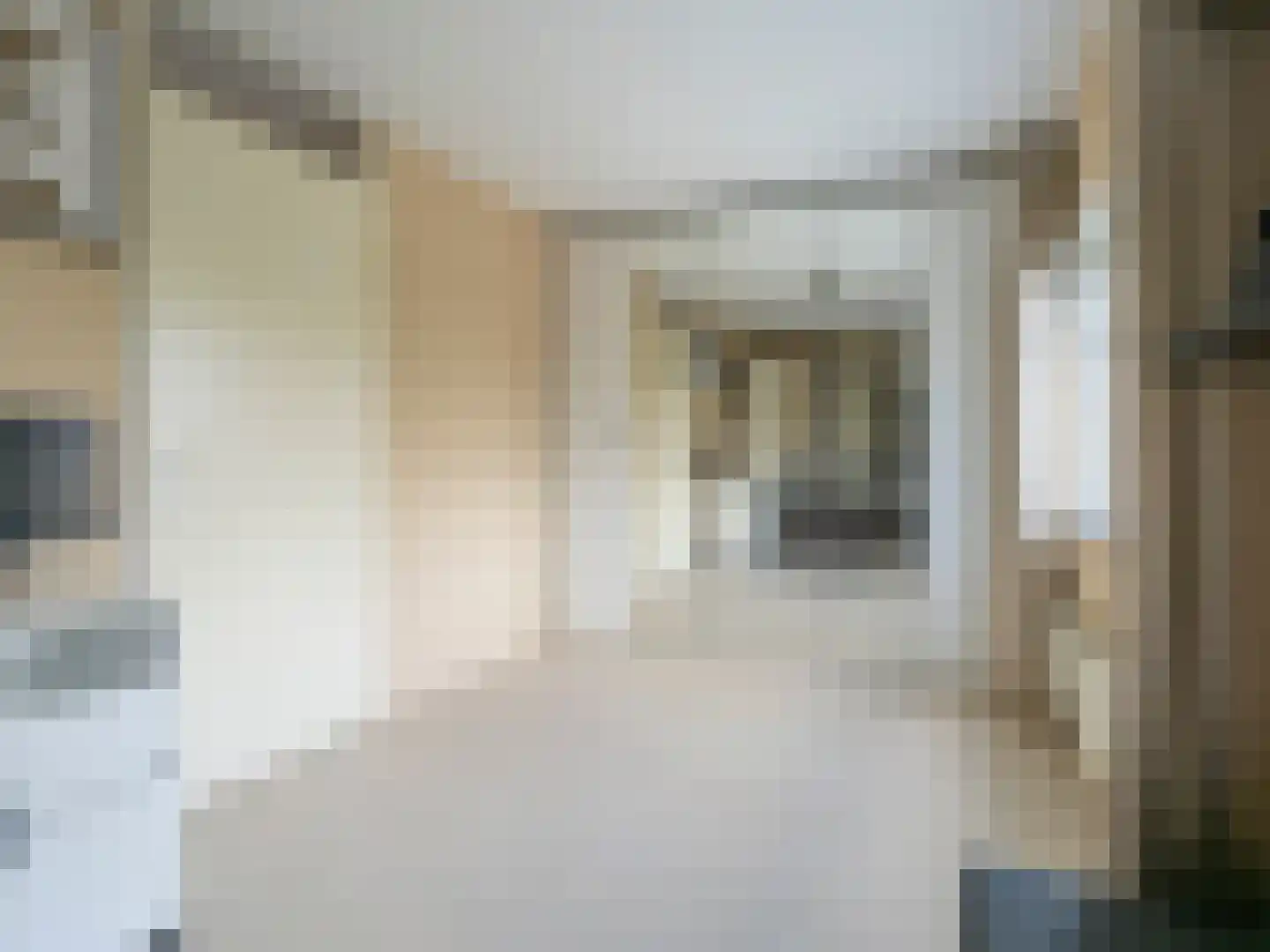 IJsselstroom 43 Zoetermeer thumbnail 21