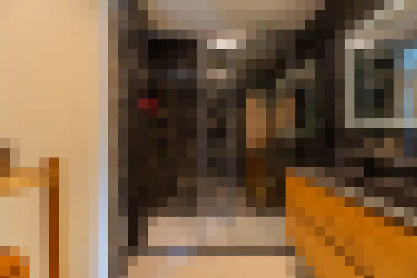 IJsselstroom 43 Zoetermeer thumbnail 24