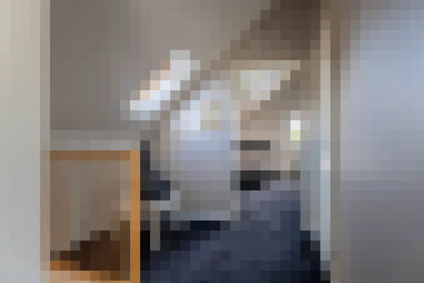 IJsselstroom 43 Zoetermeer thumbnail 29
