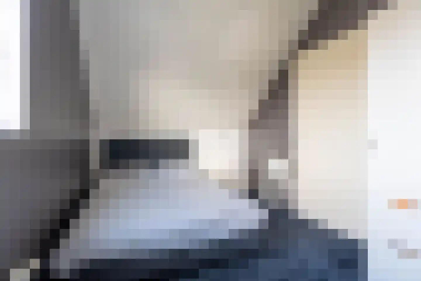 IJsselstroom 43 Zoetermeer thumbnail 31