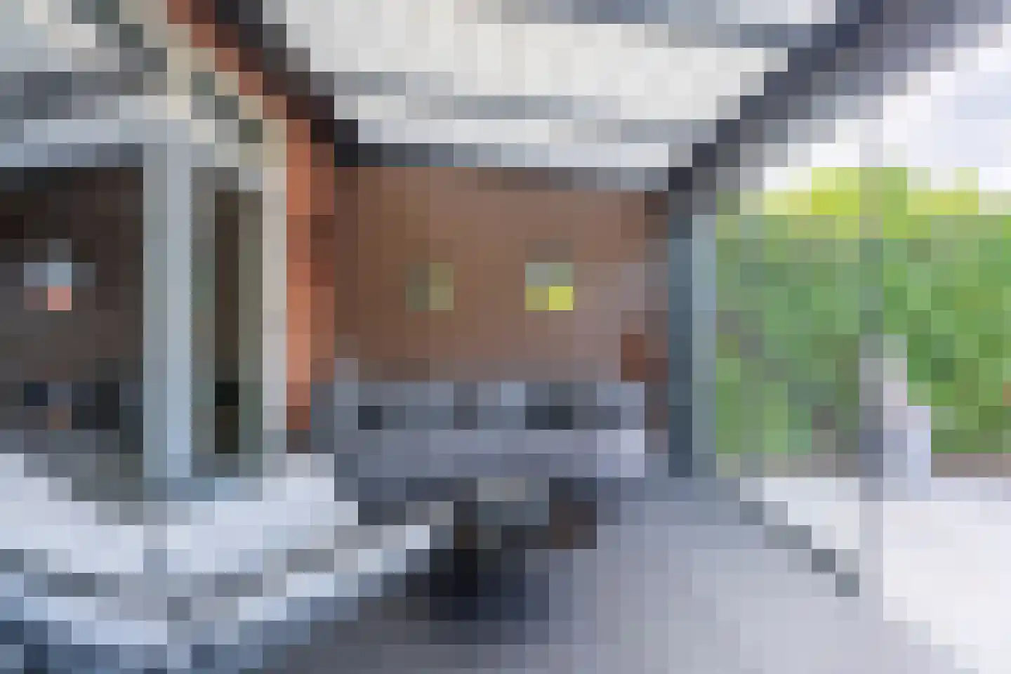 IJsselstroom 43 Zoetermeer thumbnail 34