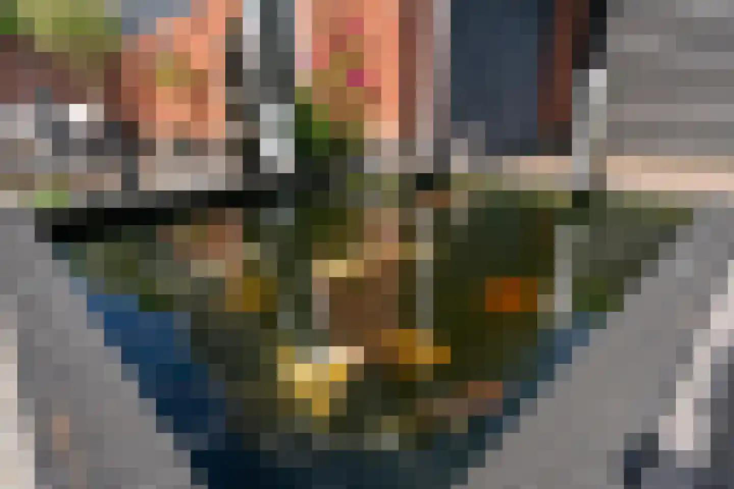 IJsselstroom 43 Zoetermeer thumbnail 38