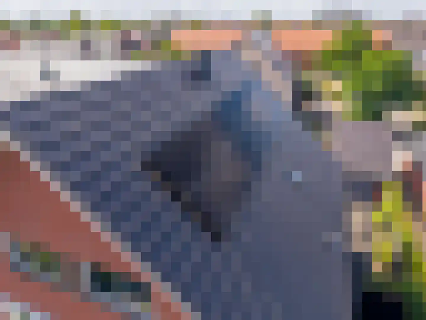 IJsselstroom 43 Zoetermeer thumbnail 48