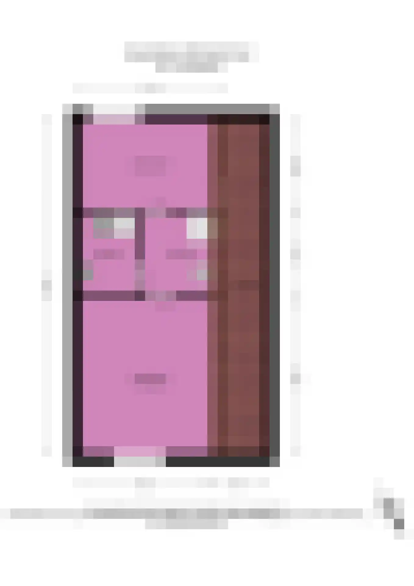 IJsselstroom 43 Zoetermeer thumbnail 54