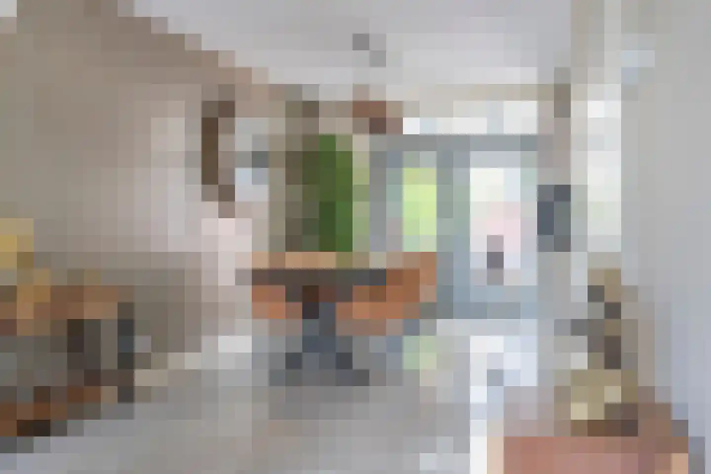 IJsselstroom 43 Zoetermeer thumbnail 7