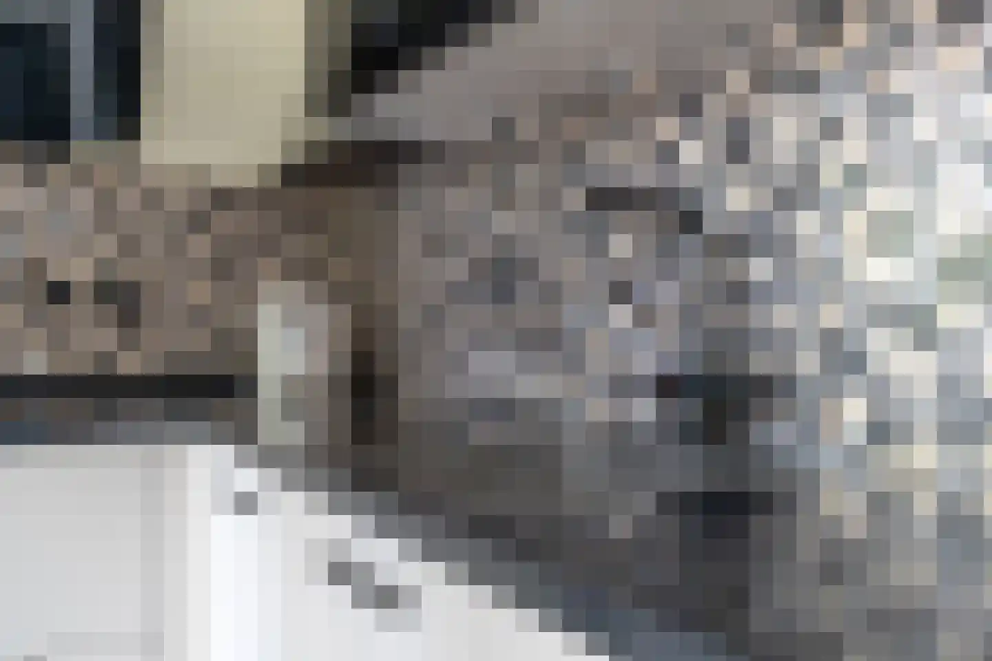 IJsselstroom 43 Zoetermeer thumbnail 9