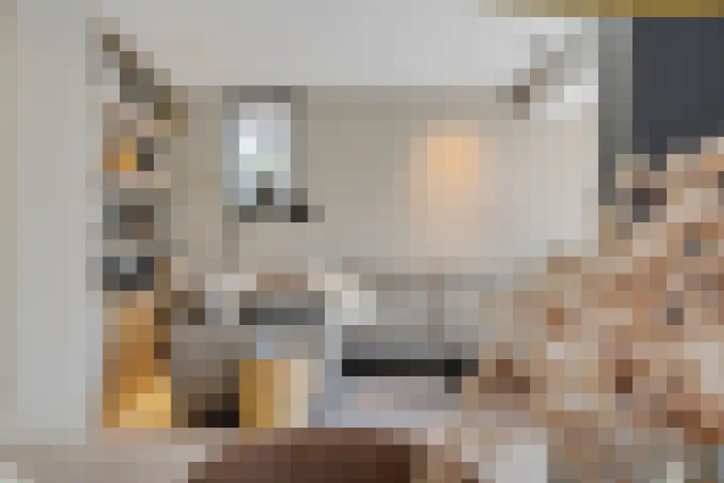 IJsselstroom 99 Zoetermeer thumbnail 10