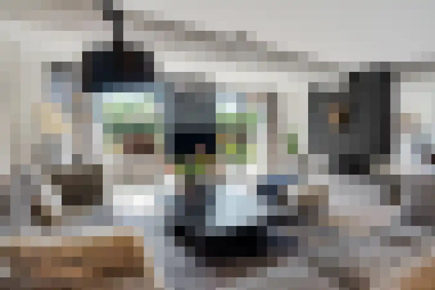 IJsselstroom 99 Zoetermeer thumbnail 30