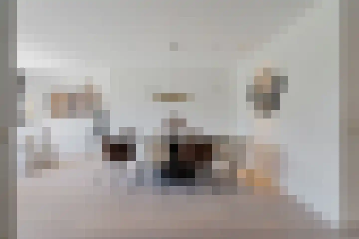 IJsselstroom 99 Zoetermeer thumbnail 33