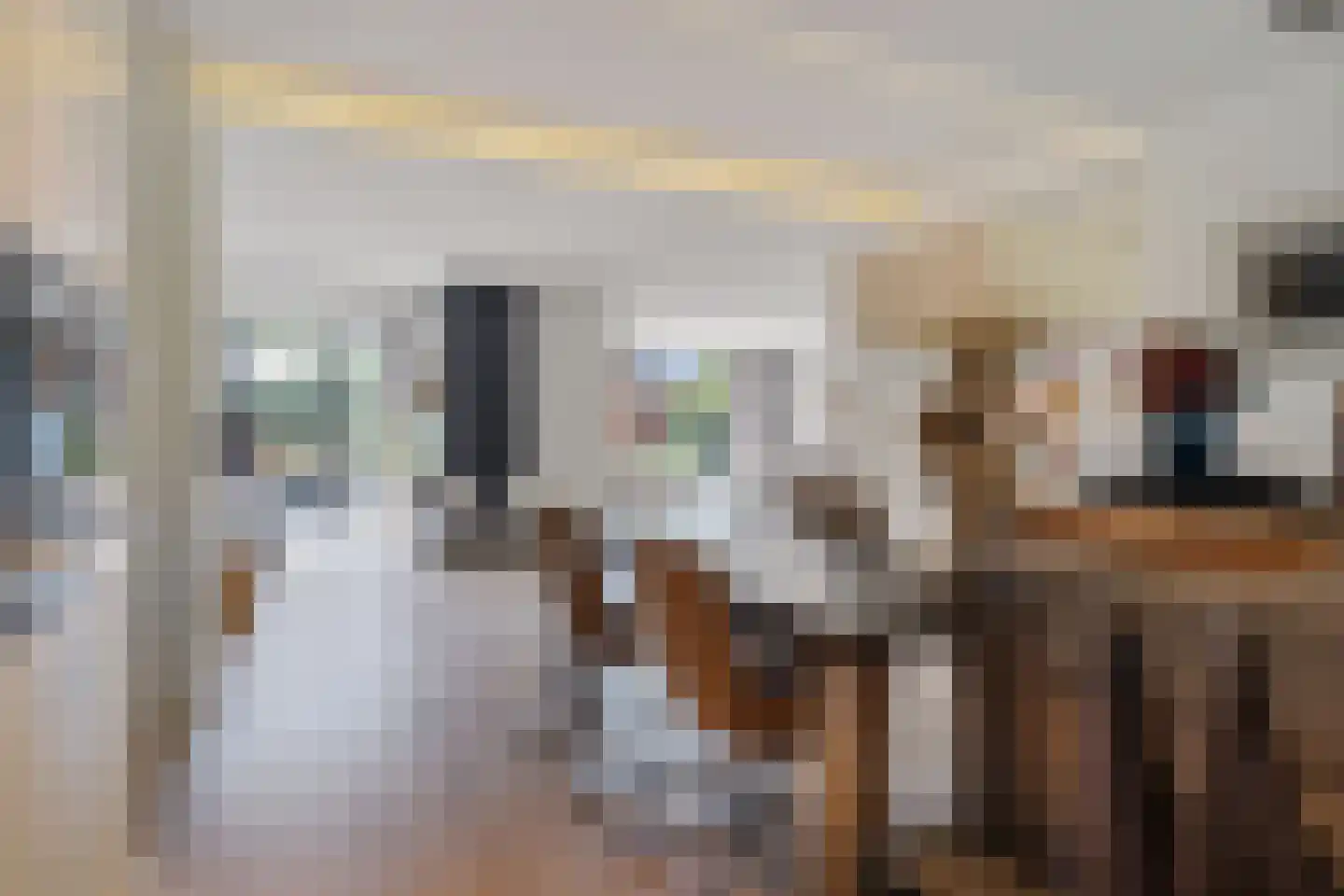 IJsselstroom 99 Zoetermeer thumbnail 50