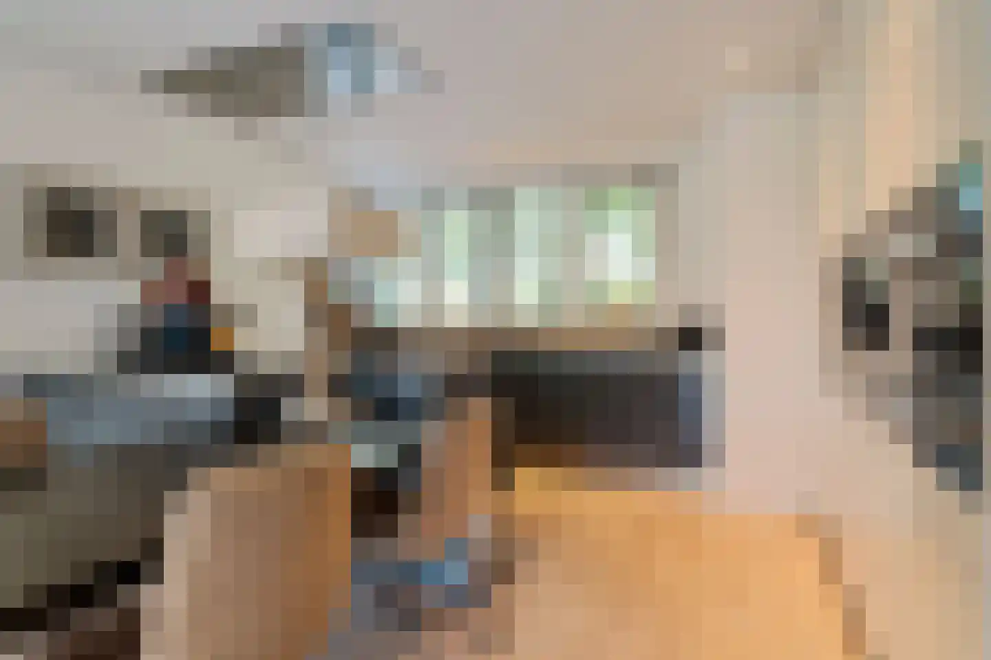IJsselstroom 99 Zoetermeer thumbnail 52