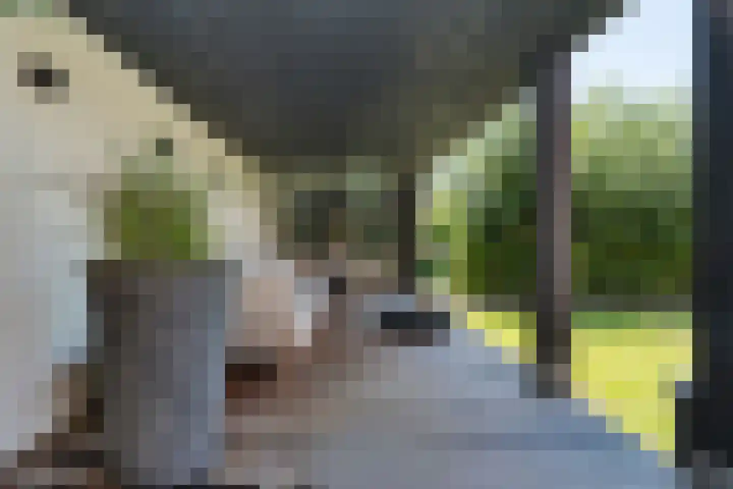 IJsselstroom 99 Zoetermeer thumbnail 61