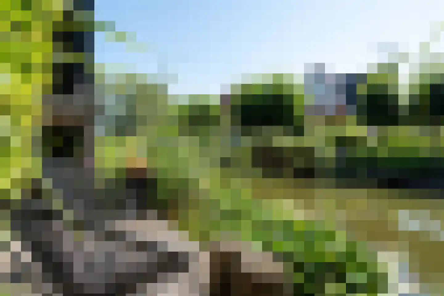 IJsselstroom 99 Zoetermeer thumbnail 66
