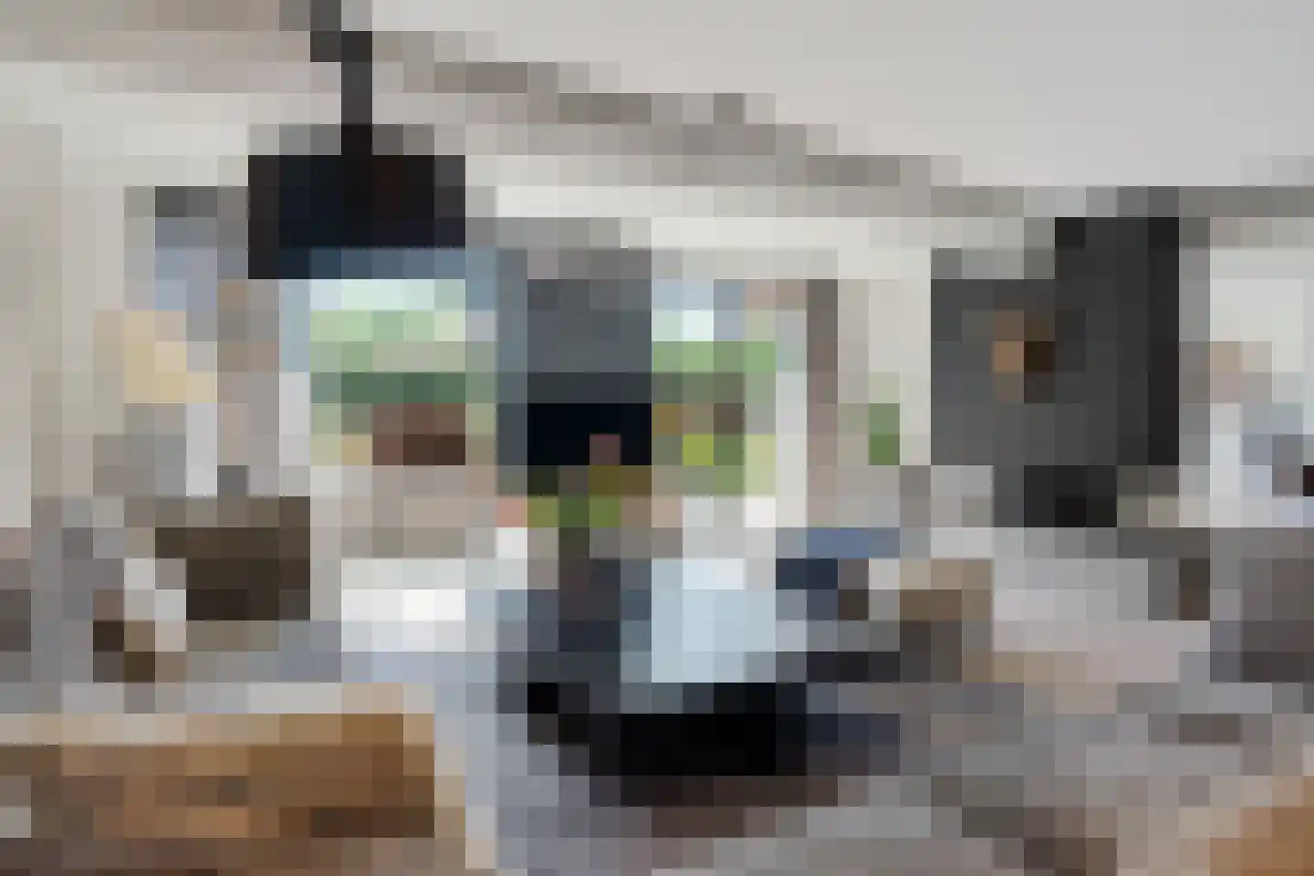 IJsselstroom 99 Zoetermeer thumbnail 7