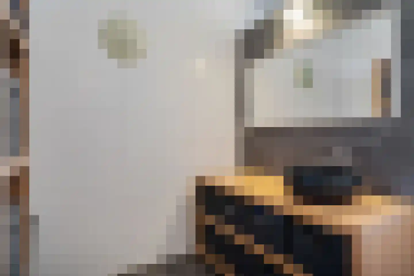 IJsselstroom 99 Zoetermeer thumbnail 84