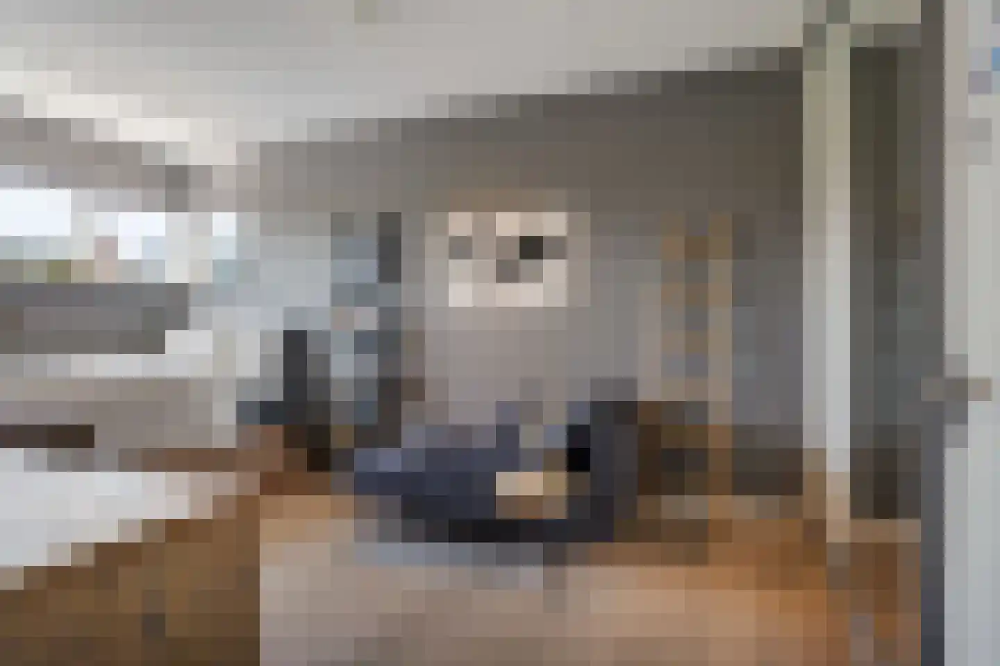 IJsselstroom 99 Zoetermeer thumbnail 85