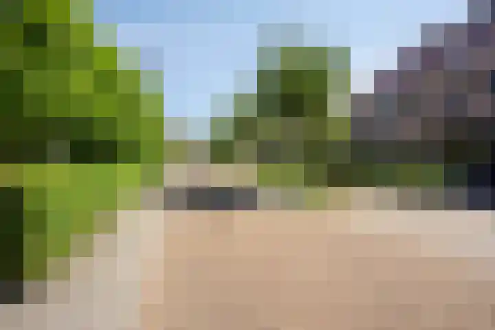 IJsselvallei 10 Kampen thumbnail 10