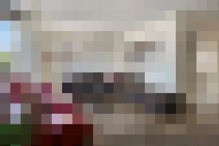 IJsselvallei 10 Kampen thumbnail 14