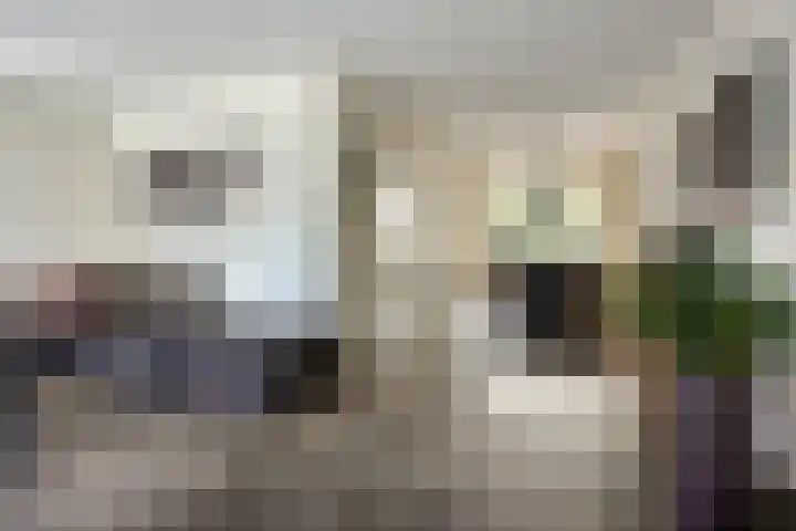 IJsselvallei 10 Kampen thumbnail 16