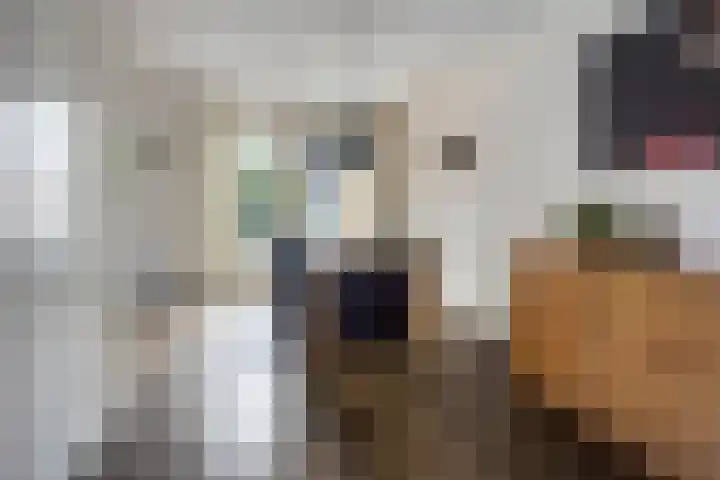 IJsselvallei 10 Kampen thumbnail 17