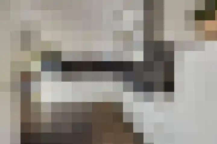 IJsselvallei 10 Kampen thumbnail 22