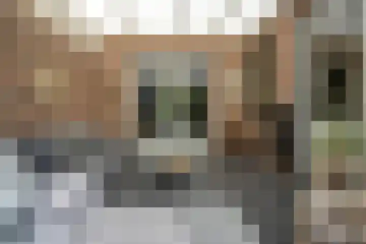 IJsselvallei 10 Kampen thumbnail 43