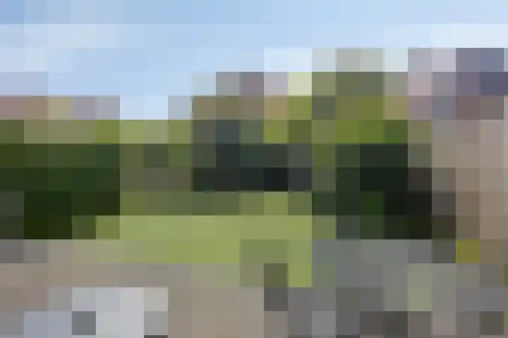 IJsselvallei 10 Kampen thumbnail 46