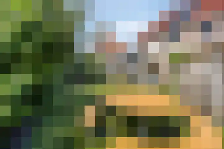 IJsselvallei 10 Kampen thumbnail 49