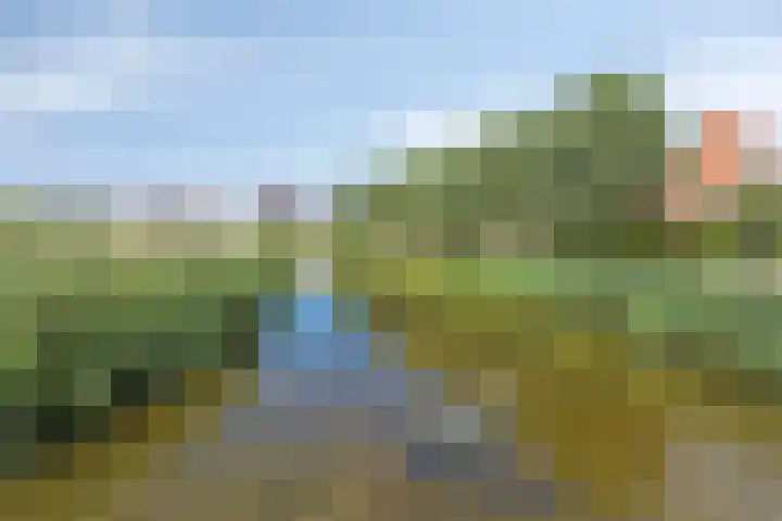 IJsselvallei 10 Kampen thumbnail 52
